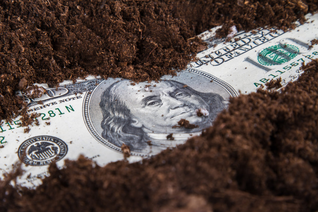 Turning Dirt Into Dollars The Charleston Land Man